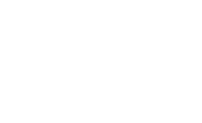 Loden Vision Logo