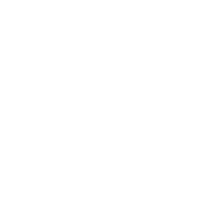 tiktok Icon